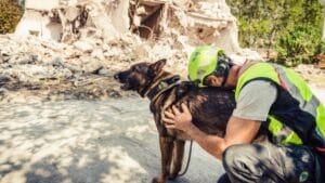 Rescue worker comforting a dog in a disaster area.